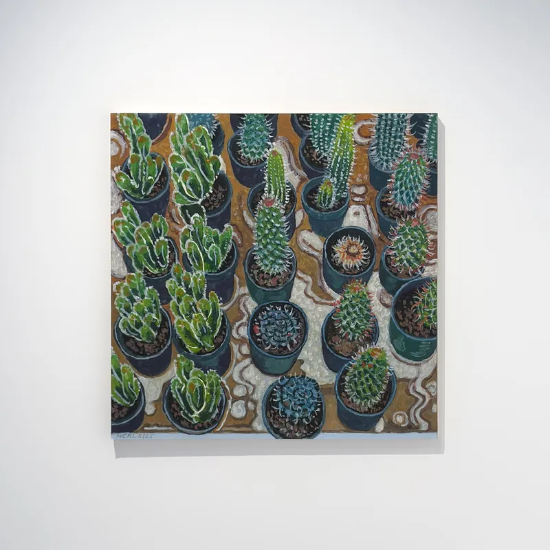 Patrick Neal, Cacti (Allerton Park Greenhouse), 2025