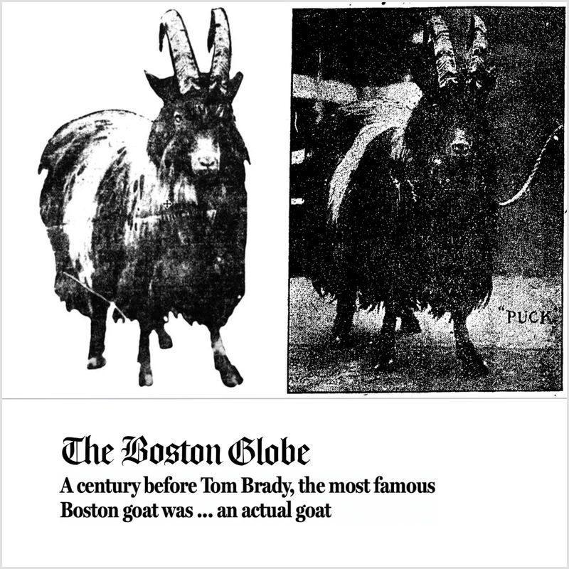 A century before Tom Brady, the most famous Boston goat was ... an actual goat