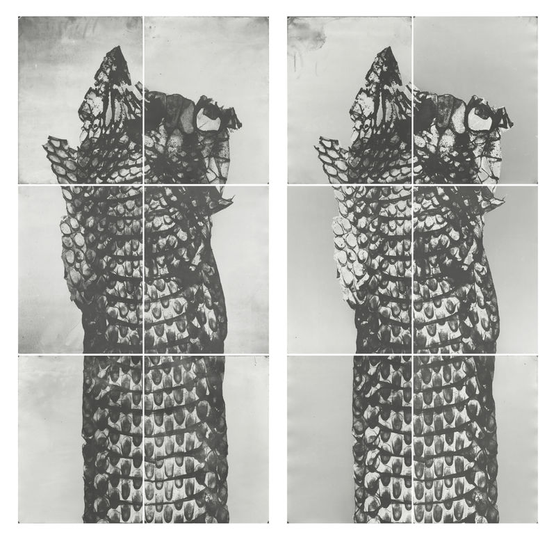 Les formes muettes, Houda Kabbaj