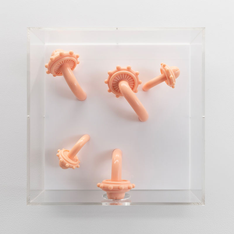 Caitlin Devoy Jhana Millers Gallery