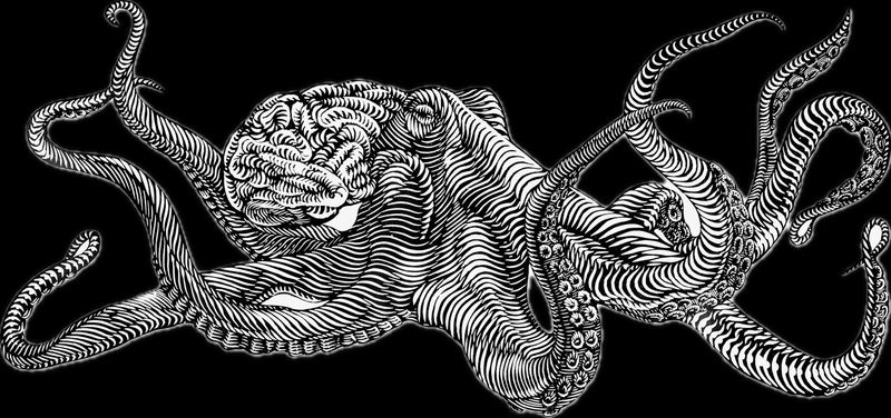 ABUNDANCE, Osmeivy Ortega