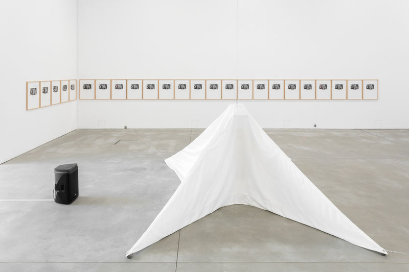 Galeria Francisco Fino - Opening, Nuno Ramos