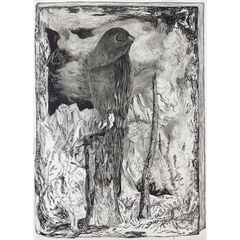 Jeff Olsson ”Fågeln i boken”, 2024. Kol på papper / Charcoal on paper 150x110 cm