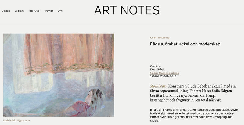 Interview in Art Notes, Duda Bebek