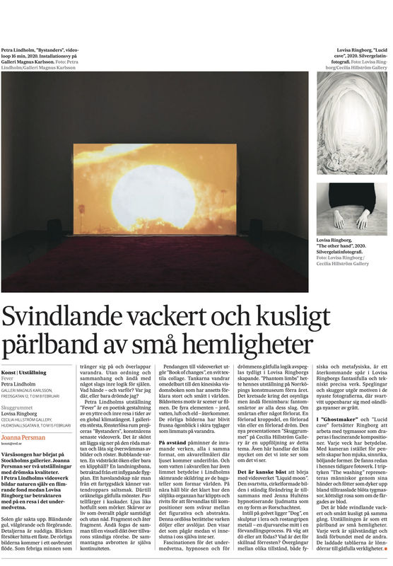 Review in SvD, Petra Lindholm