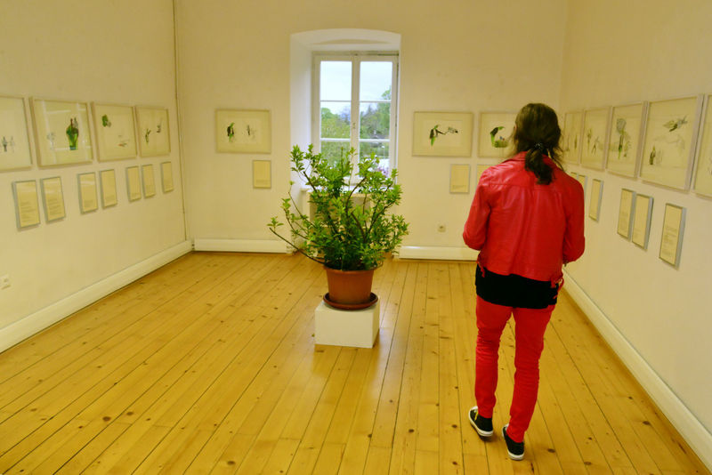 Fiffy und Maurice, Deborah Sengl