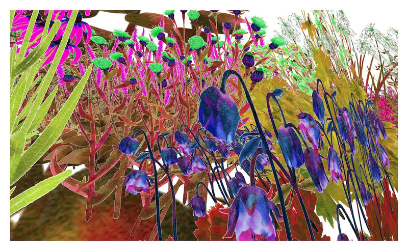 Alexandra Daisy Ginsberg