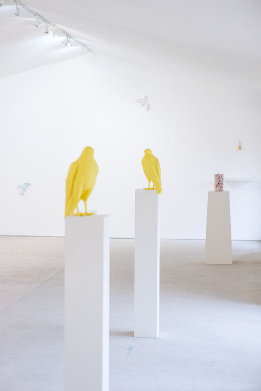 Close Ltd gallery with Veronica Wilton's Bute Buteo in the foreground