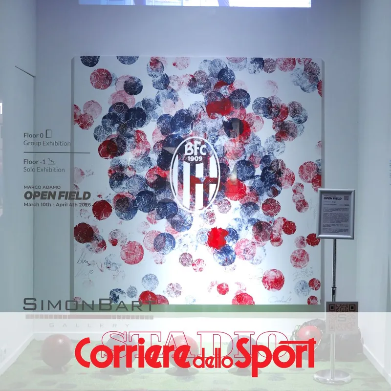 Orso–Berna–Lollo: Colorful Shots