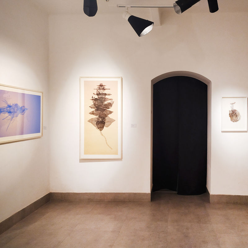 A MECHANICAL EYE : Viraag Desai, Art Exposure, Kolkata