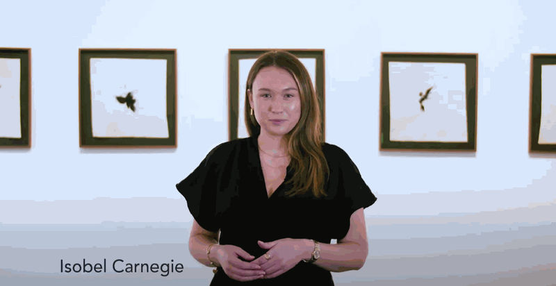 Domino Whisker - Parenthesis, Isobel Carnegie discusses Domino Whisker's exhibition 'Parenthesis'