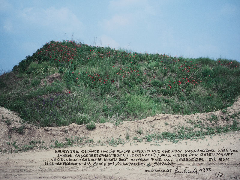 ANNOUNCING THE REPRESENTATION OF LOIS WEINBERGER