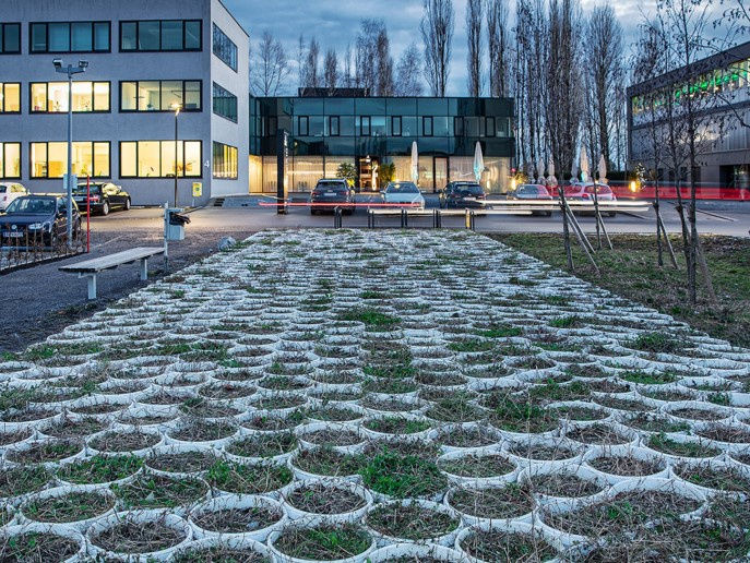 Lois Weinberger at Millennium Park, Lustenau (AT)