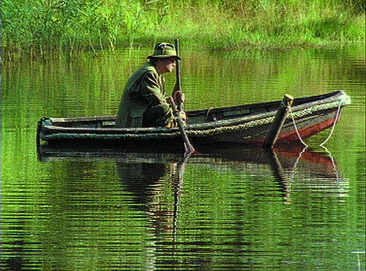 ANNOUNCING THE REPRESENTATION OF PETER LAND