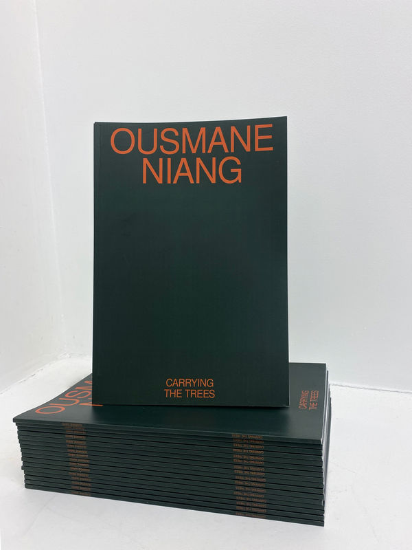 Carrying the trees, Ousmane Niang