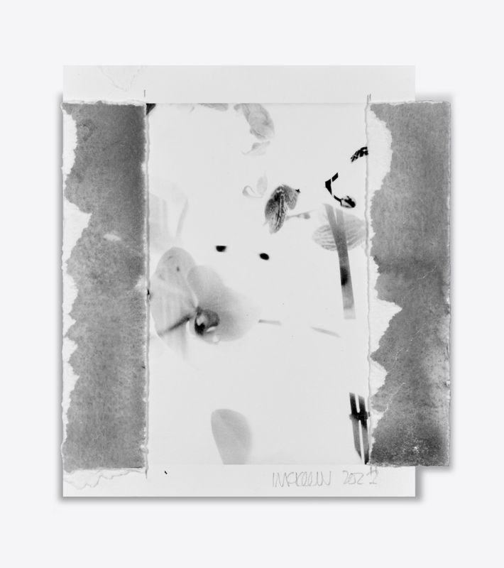 In Conversation: Ian McKeever & Sue Hubbard, Ian McKeever: Gerlinde