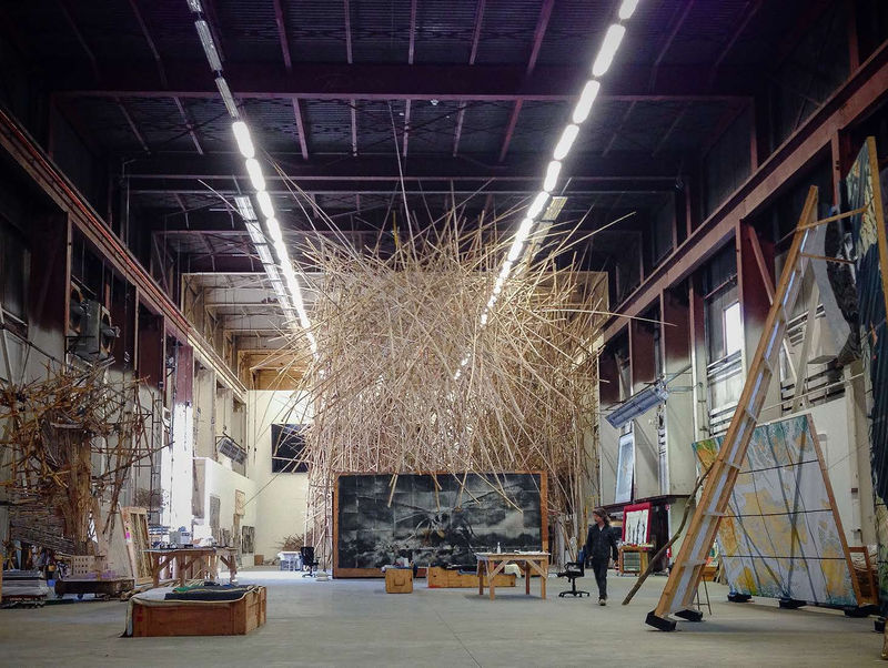 Museum of Fine Arts (Boston): Doug & Mike Starn Lecture