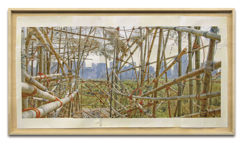 Doug & Mike Starn - Big Bambu