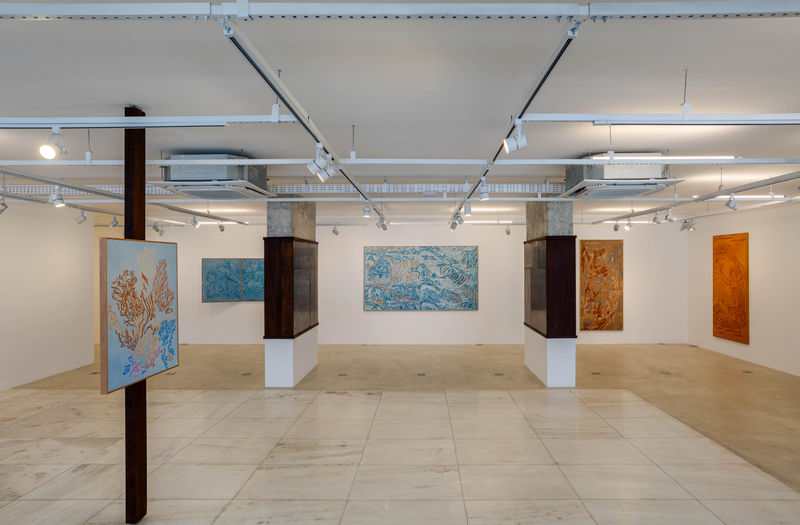 Poli Pieratti: a invenção da maré, Texto crítico: Veronica Stigger