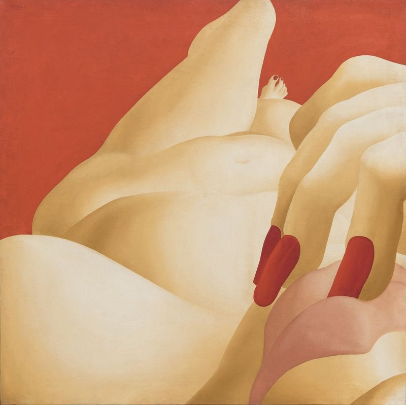 Pietrina Checcacci: táticas do corpo, Texto crítico: Fernanda Morse