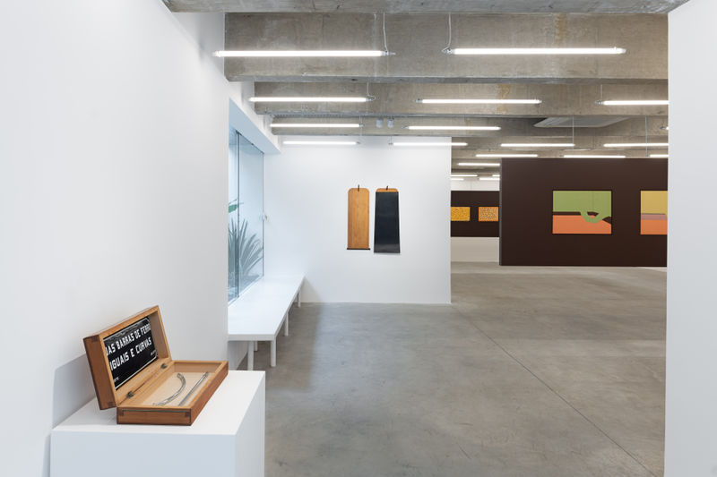 CILDO MEIRELES: desenhos, 1964-1977, Texto crítico: Diego Matos