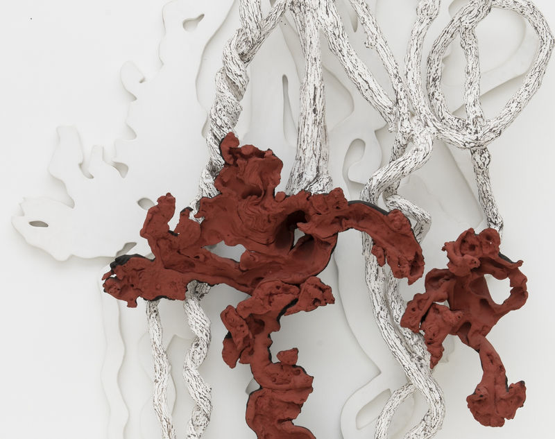 Frans Krajcberg: reencontrar a árvore, Curadoria: Adriano Pedrosa e Laura Cosendey | MASP - SP