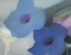 坪山小百合：Reconnect, Solo Exhibition