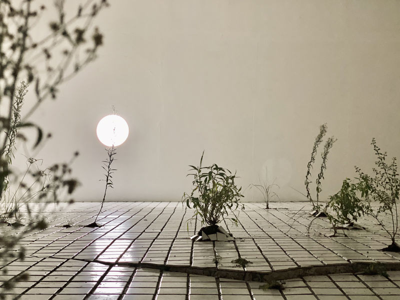 王煜松：兩個福爾摩沙