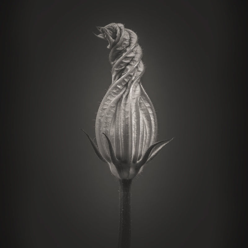 MONOCHROME: A Study in Light and Shadow, Colonnade House, 47 Warwick Street, Worthing, BN11 3DH