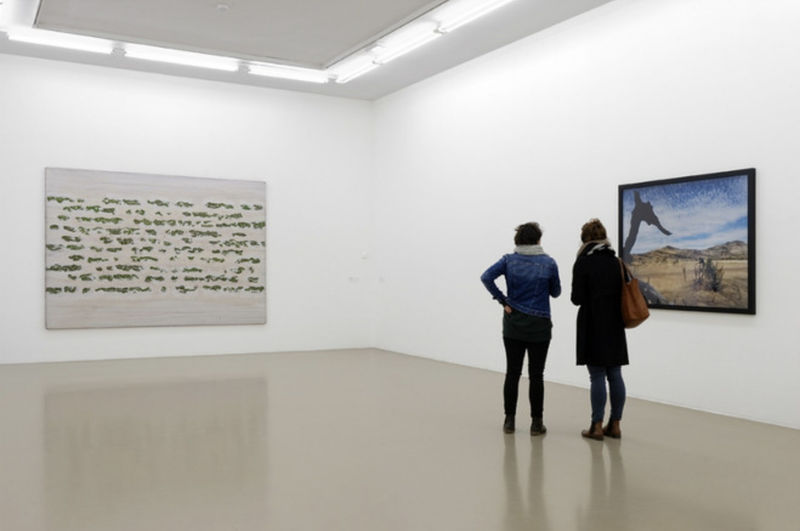 Paysages cosmomorphes - Collection du FRAC Auvergne, Institut d'Art Contemporain (IAC), Villeurbanne