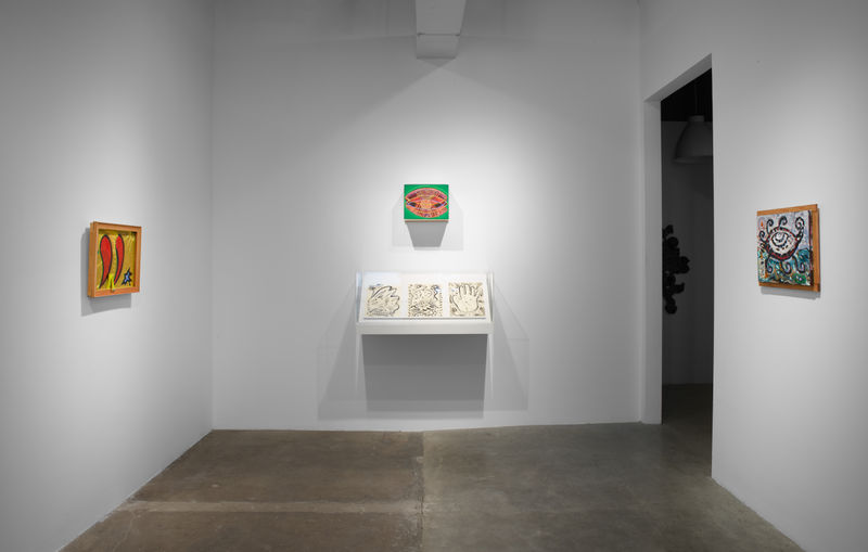 Daniel Rios Rodriguez, "Sweet Fire" Install photography by Tom DuBrock