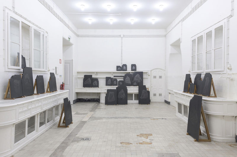 Do Labirinto ósseo do homem ao eixo do rochedo. Marcelo Moscheta. Museu Nacional de História Natural e da Ciência. Lisboa, Portugal. 2024