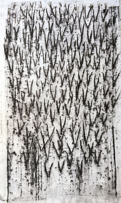 There’s a quiet authority that comes with age.