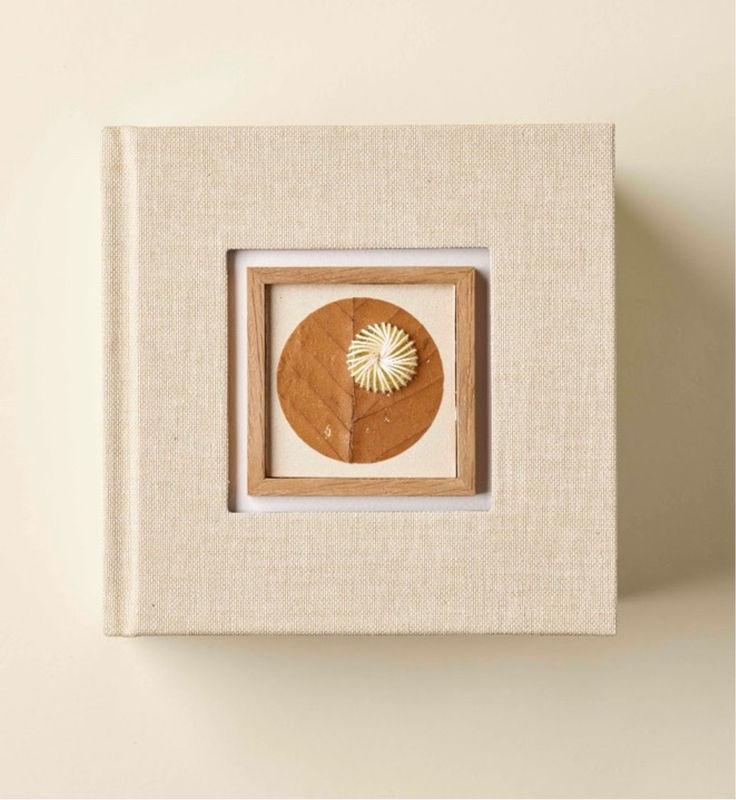 Special Edition | Kazuhito Takadoi, twenty one material conversations and beyond