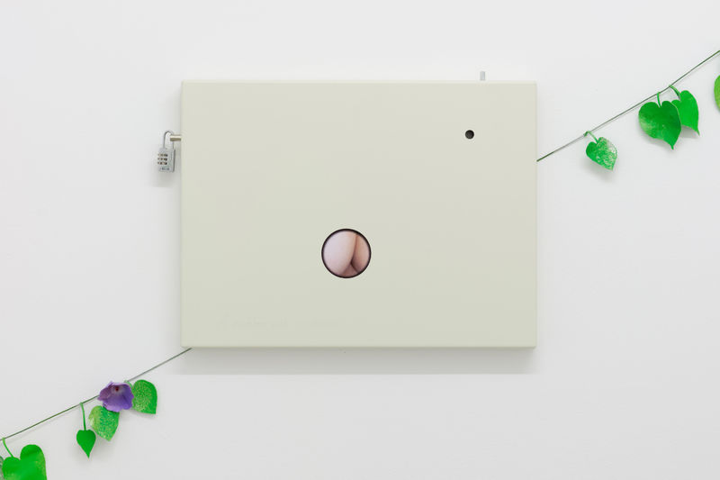 ...and compliments to my mother (Étant donnés B-side), 2022, metal, glass, photography, lock, 36 x 46 x 4 cm | 14.2 x 18.1 x 1.6 in