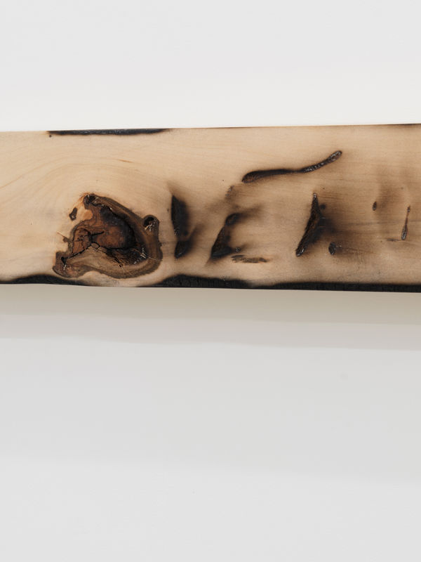 Detail, DAVID LINDSAY, NUDE BRUISE (A LOVER RUNNING A LONG NAIL DOWN YOUR SPINE), 2023