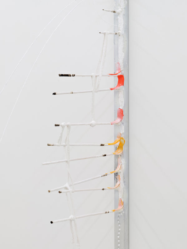 Detail, "Fried Sacred Shrimp", 2025