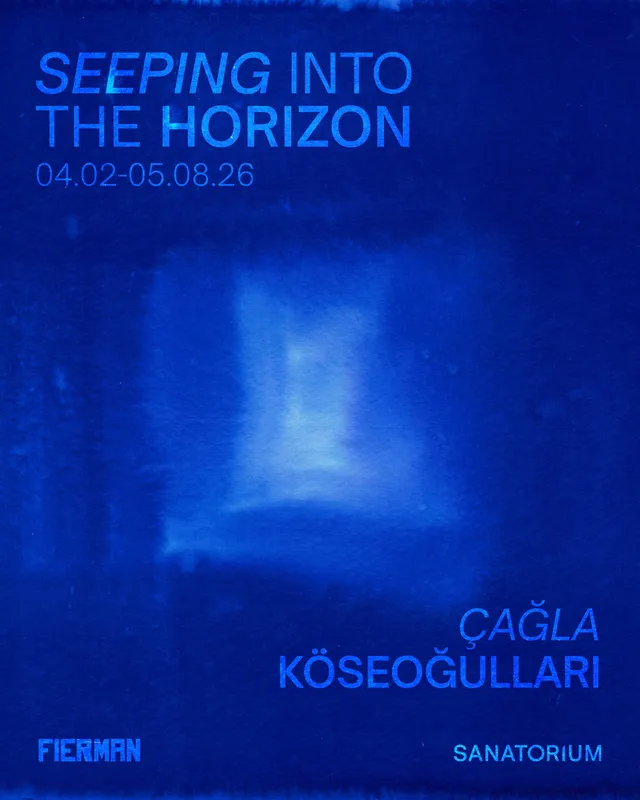 Seeping Into the Horizon