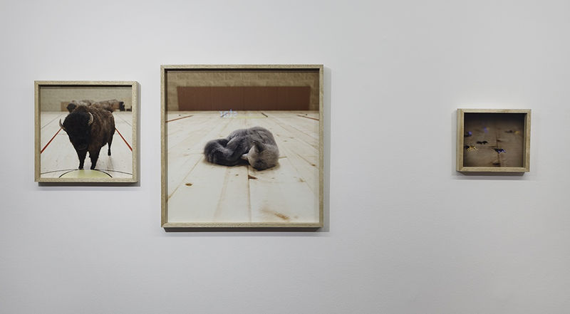 Hürriyet Gazetesi - Wittgenstein’ın 'aRb'si