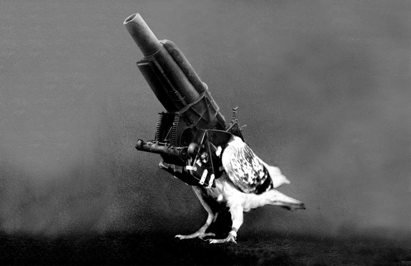 Performance: Batu Bozoğlu - Cycle