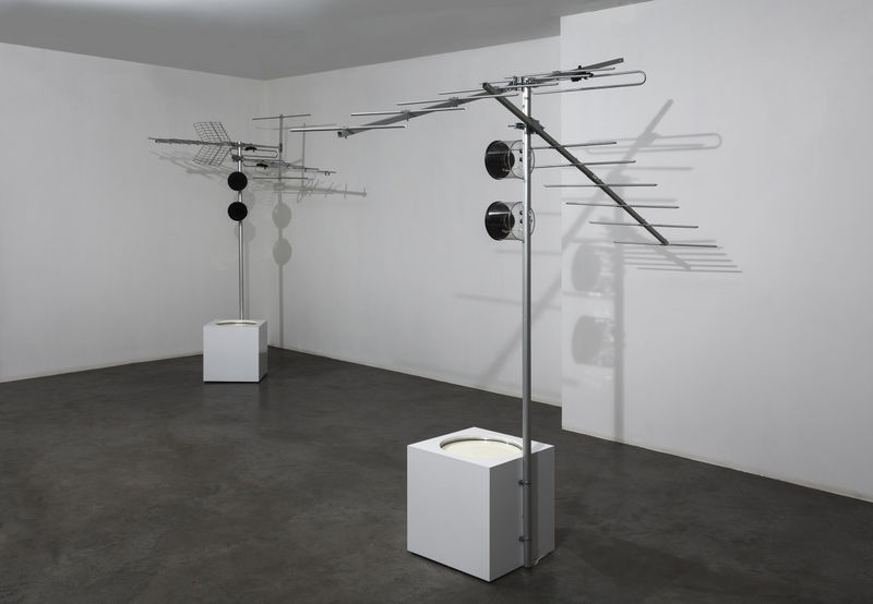 Istanbul Art News - Lonely Tress