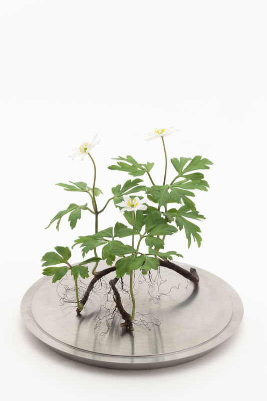 Summer Exhibition / Arddangosfa Haf, Mixed show by all our Artists / Sioe Gymysg gan ein holl Artistiaid