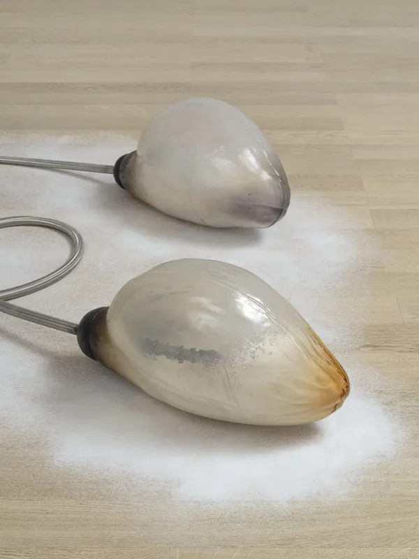 Gormley, Hunt and Zajko’s Imagined Futures of the Human Body, OBSERVER