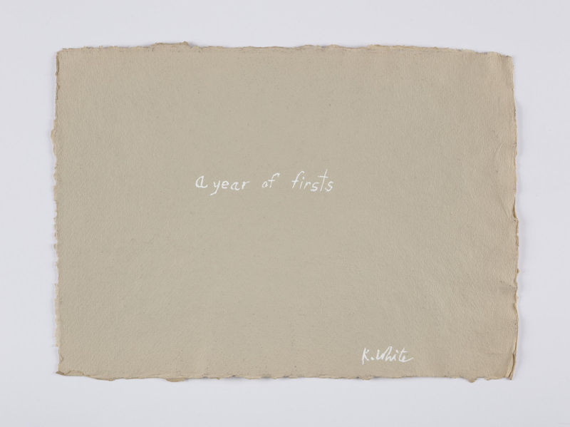 Kathleen White A Year of Firsts, 2001 40 works on paper each: 12 x 16 1/2 in (30.5 x 41.9 cm) each: 16 1/2 x 12 in (41.9 x 30.5 cm)