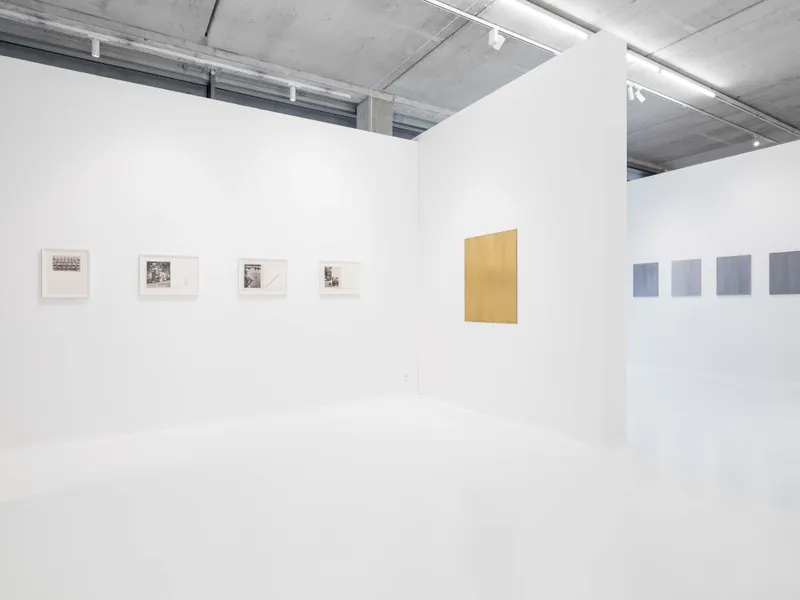 Willy De Sauter, Golden is a surface colour (Ludwig Wittgenstein)