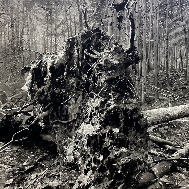 Chris Doyle, “Newly Fallen #10”, 2022. Watercolor on paper mounted to 2 panels. 96 x 96 inches.