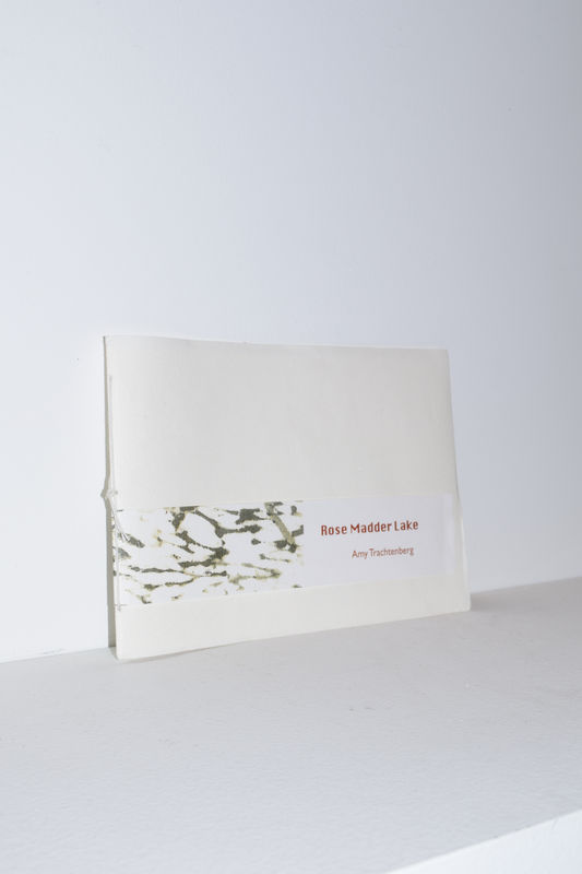 Rose Madder Lake, Amy Trachtenberg