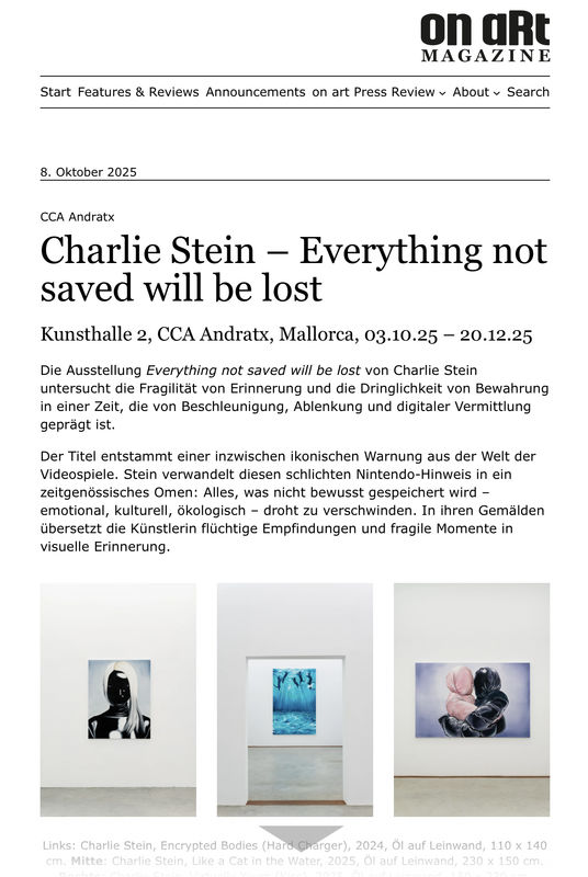 On Art Magazine — Charlie Stein: Everything not saved will be lost