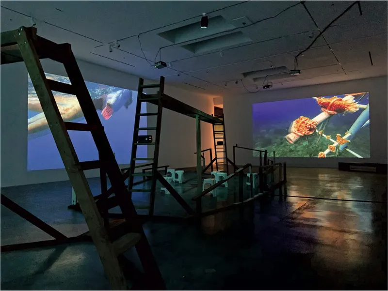 Patty Chang and David Kelley, Stray Dog Hydrophobia, 2024, four-channel video projection, color, sound, 53 minutes. Installation view.