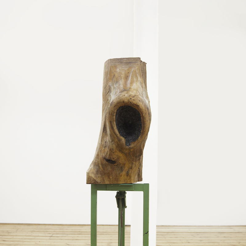 Wood, Stones and Friends, Jimmie Durham